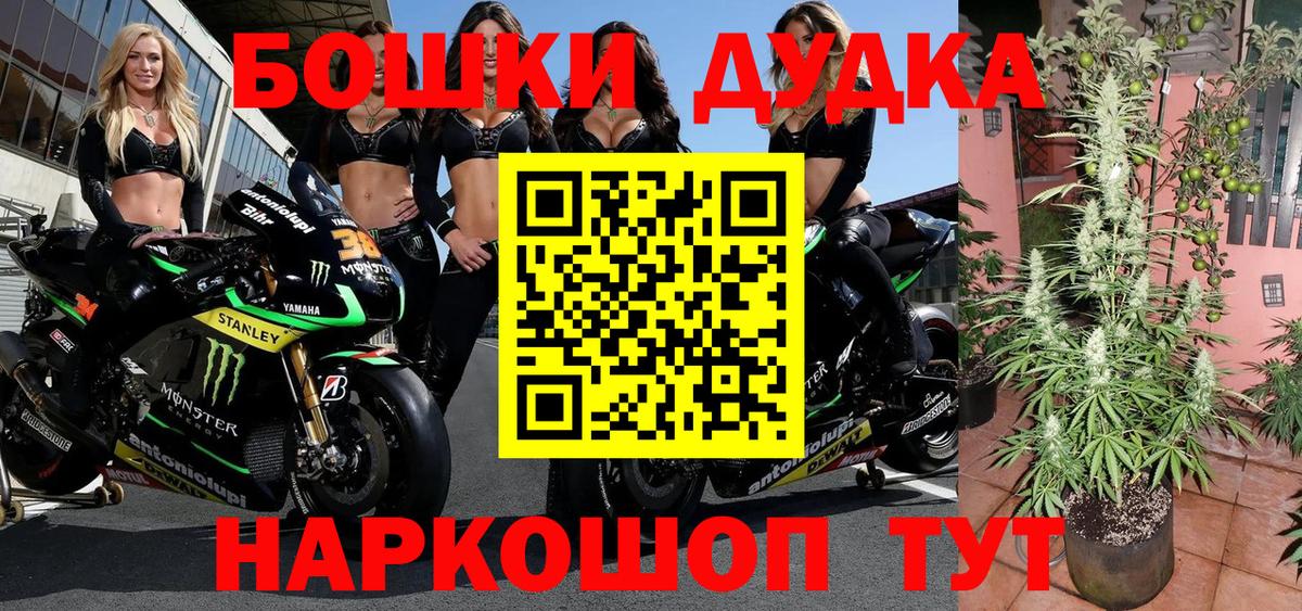 Бошки Шишки MAZAR Барнаул